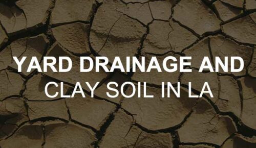 Yard drainage and clay soil