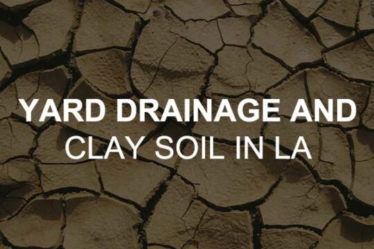 Yard drainage and clay soil