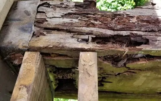 wood rot repair